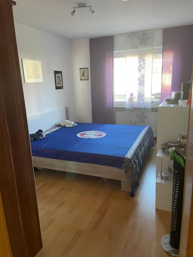Schone Wohnung Nahe Bodensee Und Schweiz Gailingen am Hochrhein Extérieur photo